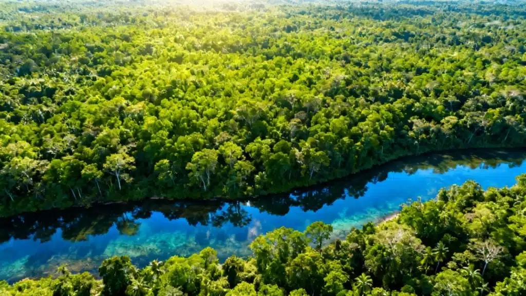 Desmatamento Zero 2026: Amazônia Preservada em 5 Milhões Hectares