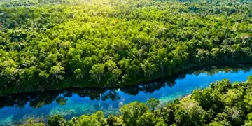 Vista aérea exuberante da floresta amazônica, símbolo da biodiversidade e da urgência da preservação ambiental.